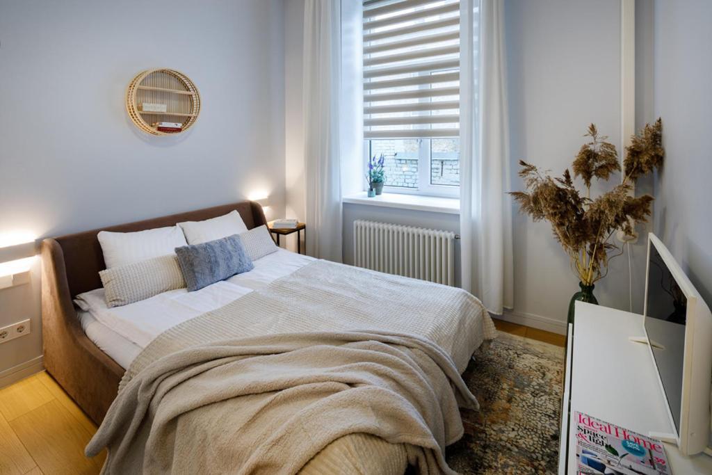 Kalnina Street Studio Apartment Рига Экстерьер фото
