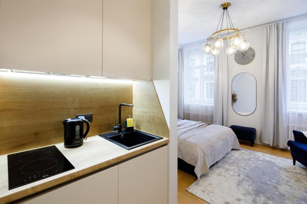 Kalnina Street Studio Apartment Рига Экстерьер фото